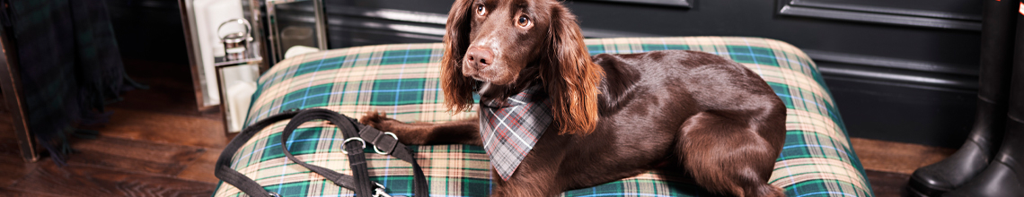 Tartan and Tweed Dog Bandanas