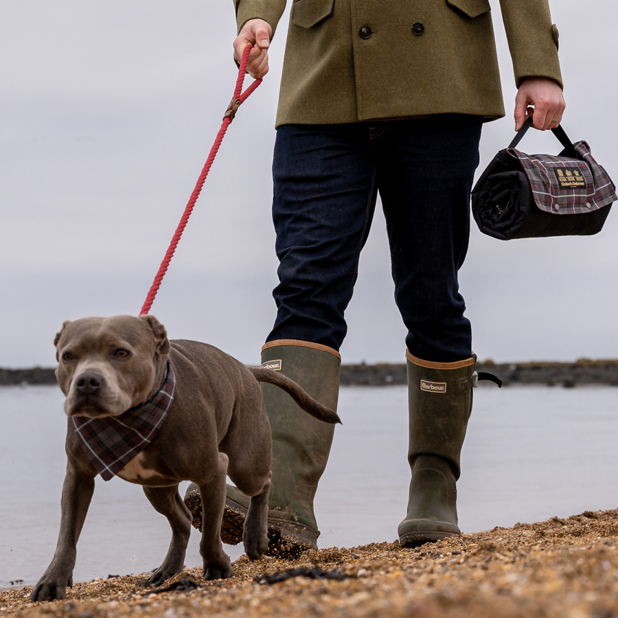 Tartan and Tweed Dog Travel Beds