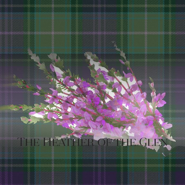 The Heather of the Glen Pipe Music