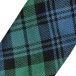 Campbell Clan Ancient Tartan Tie in Pure New Wool
