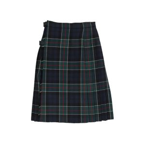 Hipster Pleated Skirt in Colquhoun Modern Tartan