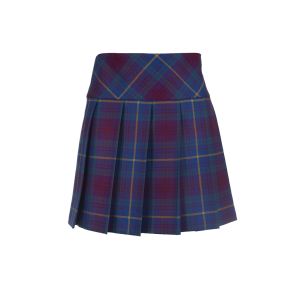 Hipster Pleated Skirt in Blue Tartan - Mini Length