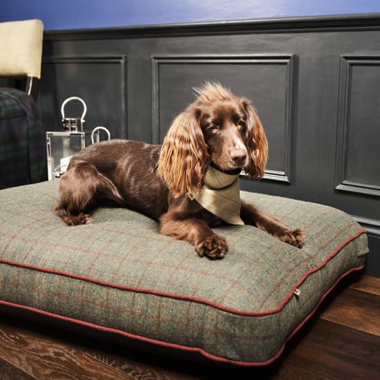 Large Dog Bed in Tweed - Made to Order