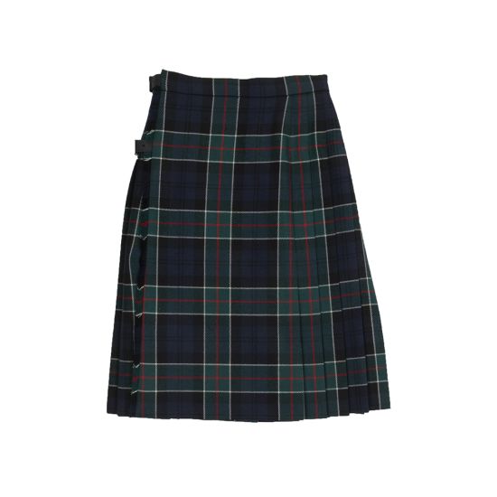 Hipster Pleated Skirt in Colquhoun Modern Tartan