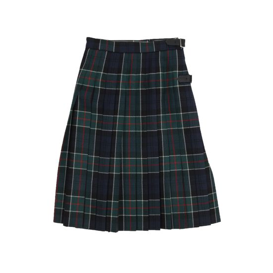 Hipster Pleated Skirt in Colquhoun Modern Tartan