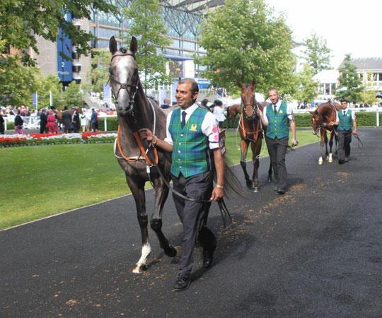 Mark Johnston Racing Team at Royal Ascot June 2011