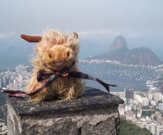 Clipper Yacht Mascot, Hector, flies the flag for Scotland