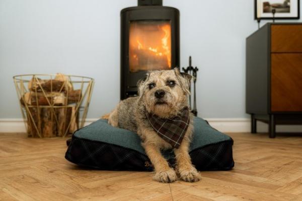 The Scotsman reports on our new eco-friendly pet range