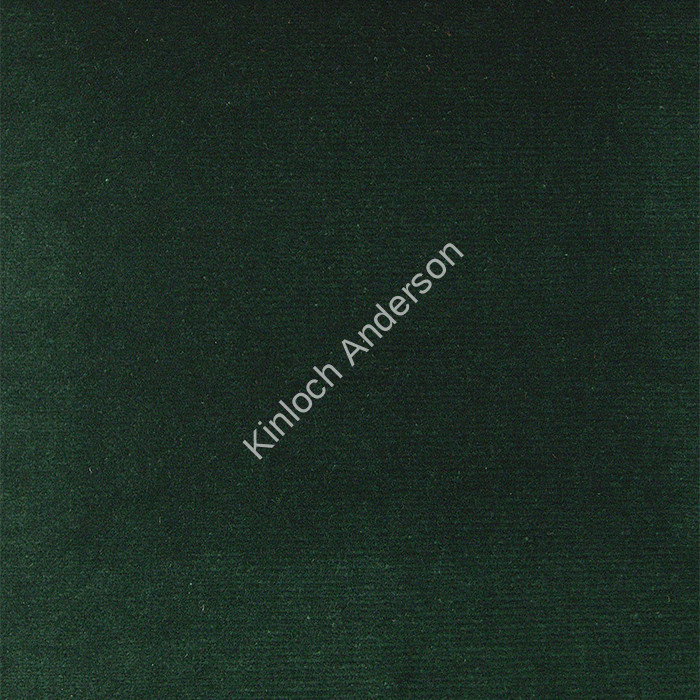  Velvet from Kinloch Anderson